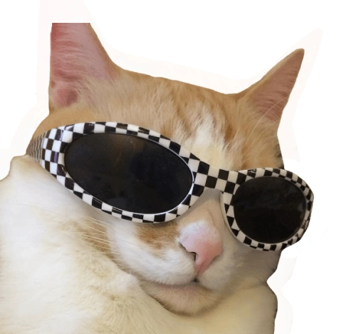 Котик, который знает болгарский язык